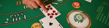 Fortune Ox bonus round triggered by scatter symbols showing multiplier and free-spin payout structure